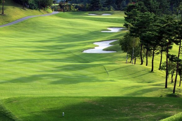 Najlepsze hotele golfowe